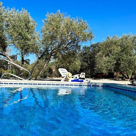 Refugio Andaluz Con Piscina Entre Olivos Villanueva de Tapia Eksteriør billede