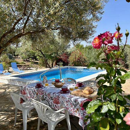 Refugio Andaluz Con Piscina Entre Olivos Villanueva de Tapia Eksteriør billede