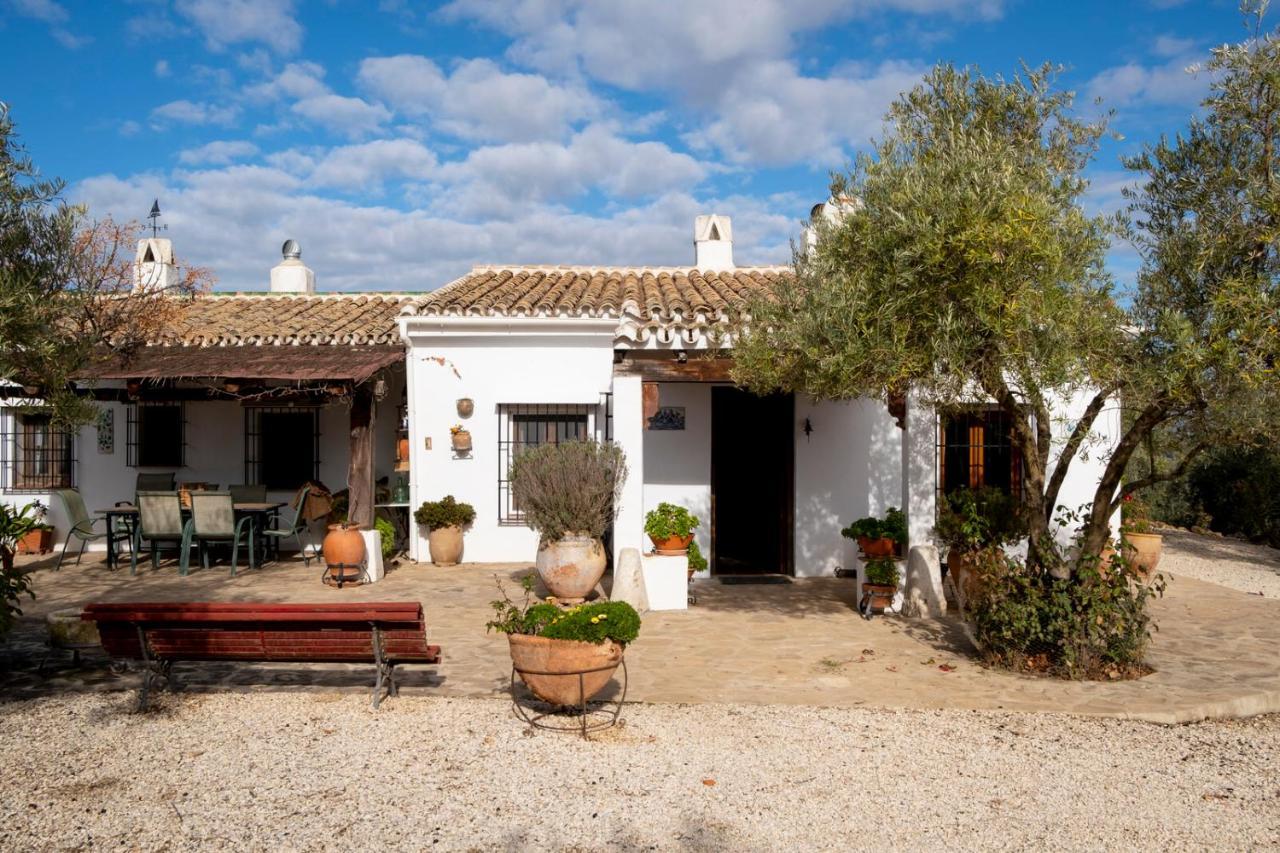 Refugio Andaluz Con Piscina Entre Olivos Villanueva de Tapia Eksteriør billede