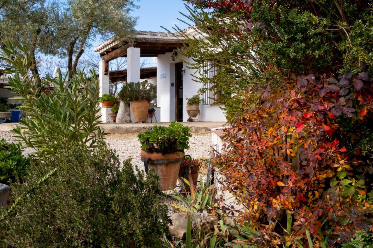 Refugio Andaluz Con Piscina Entre Olivos Villanueva de Tapia Eksteriør billede