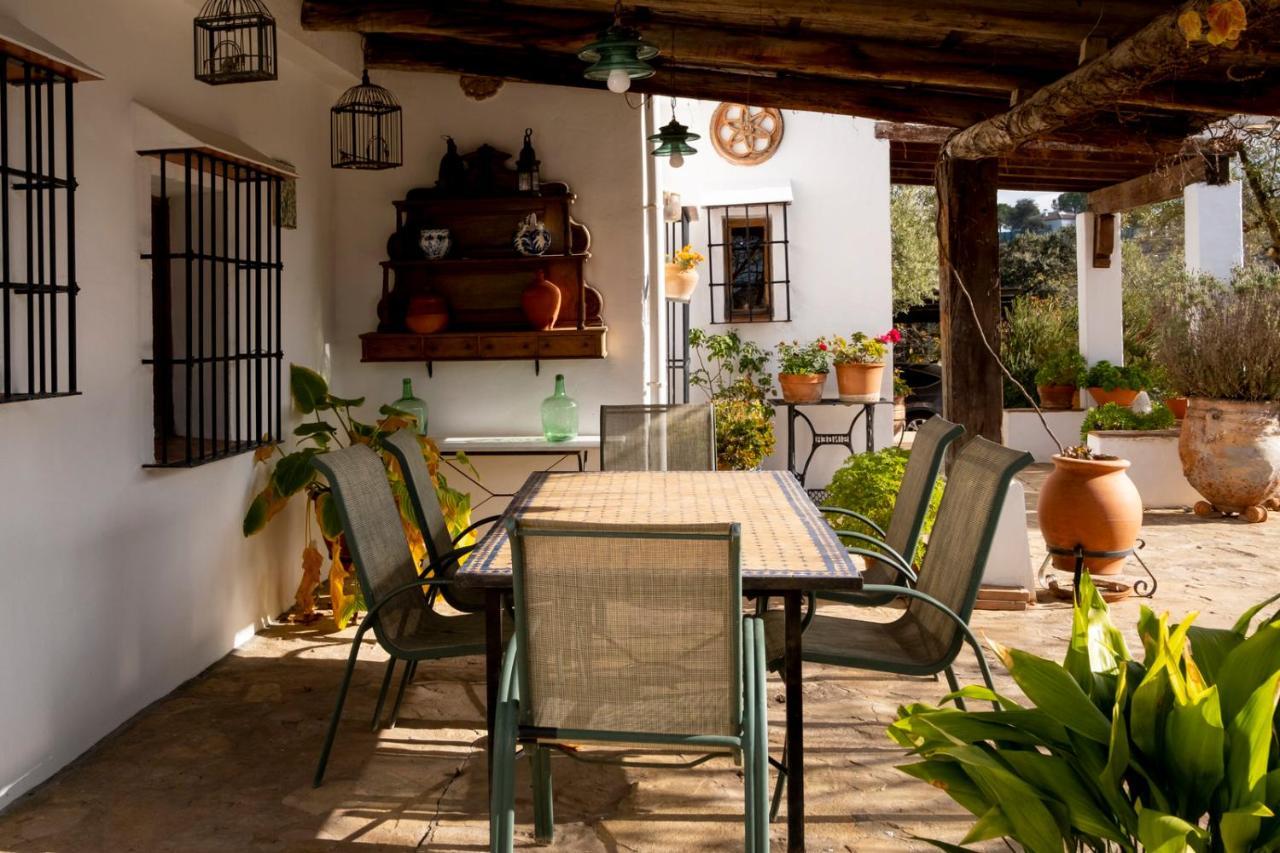Refugio Andaluz Con Piscina Entre Olivos Villanueva de Tapia Eksteriør billede