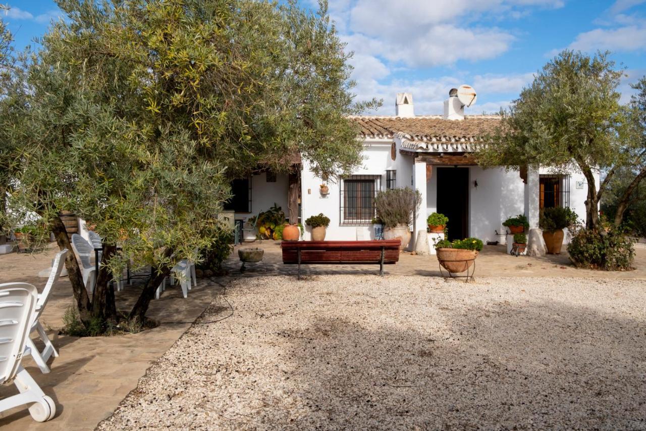 Refugio Andaluz Con Piscina Entre Olivos Villanueva de Tapia Eksteriør billede