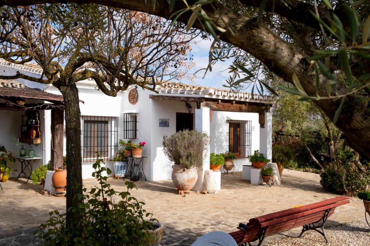 Refugio Andaluz Con Piscina Entre Olivos Villanueva de Tapia Eksteriør billede