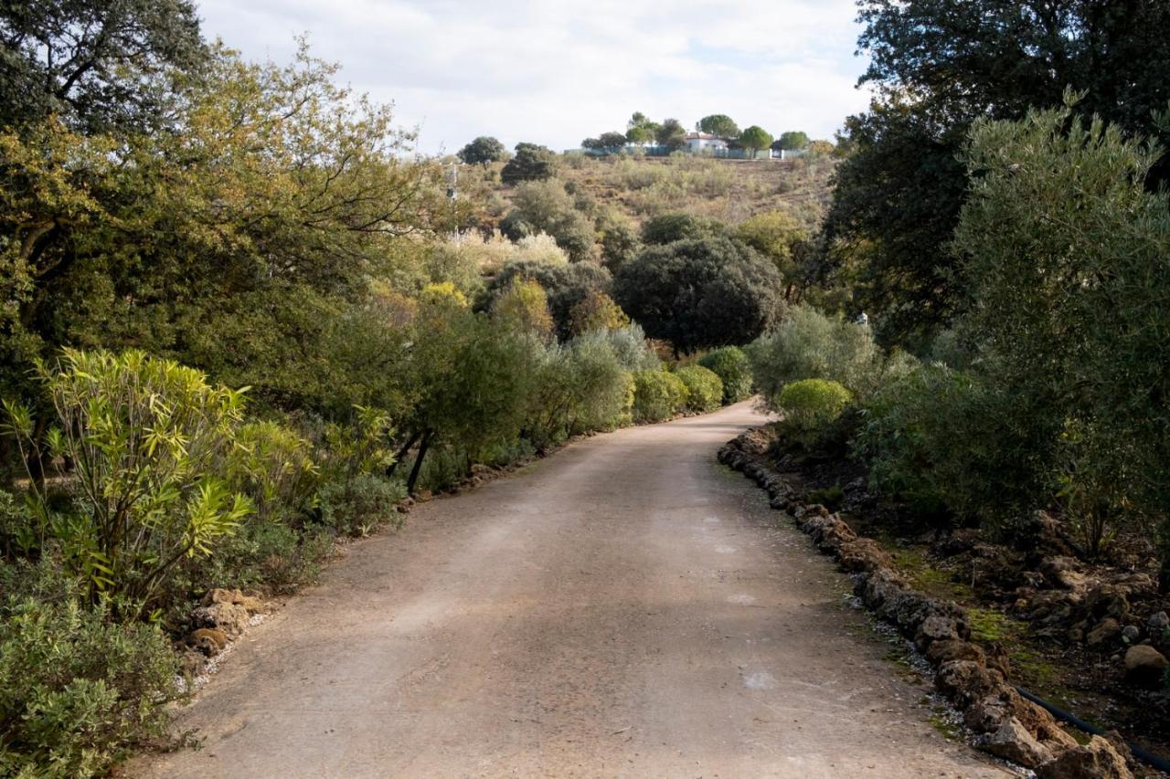Refugio Andaluz Con Piscina Entre Olivos Villanueva de Tapia Eksteriør billede