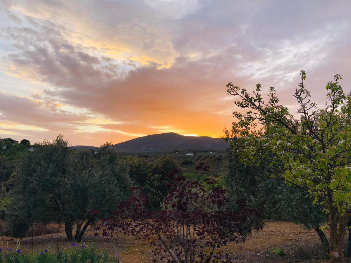 Refugio Andaluz Con Piscina Entre Olivos Villanueva de Tapia Eksteriør billede