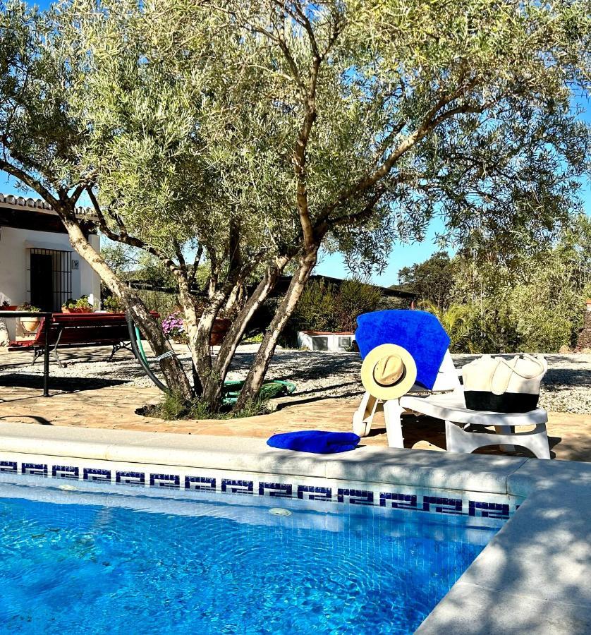 Refugio Andaluz Con Piscina Entre Olivos Villanueva de Tapia Eksteriør billede