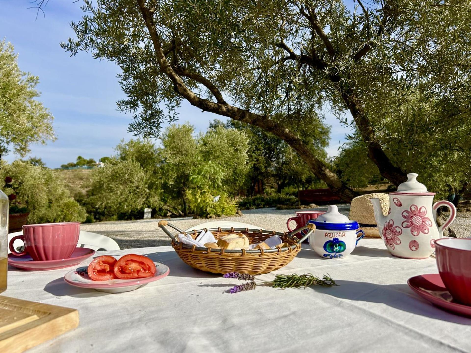 Refugio Andaluz Con Piscina Entre Olivos Villanueva de Tapia Eksteriør billede