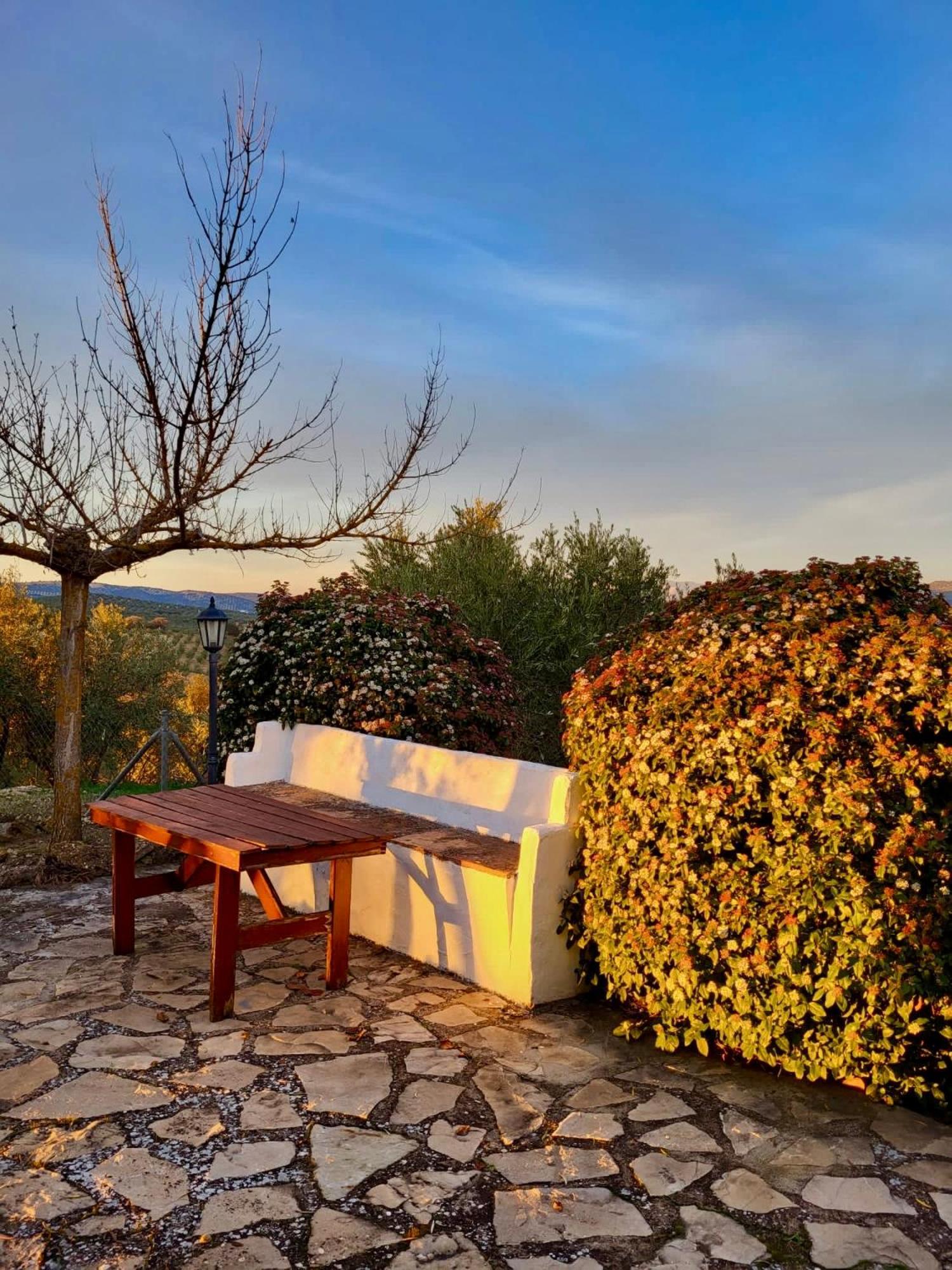 Refugio Andaluz Con Piscina Entre Olivos Villanueva de Tapia Eksteriør billede