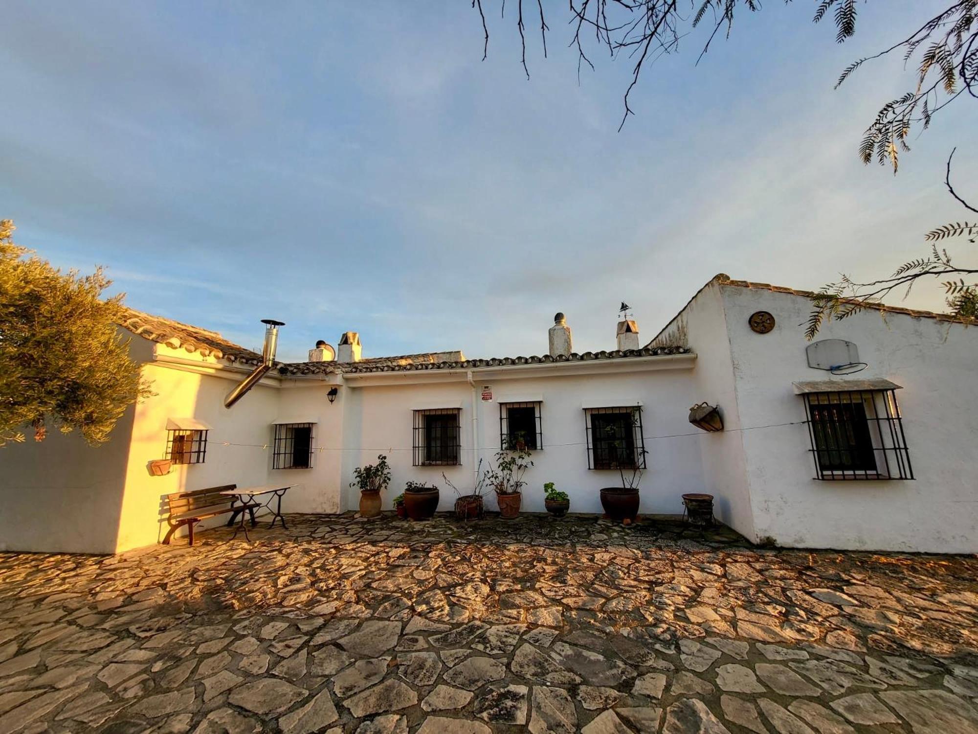Refugio Andaluz Con Piscina Entre Olivos Villanueva de Tapia Eksteriør billede