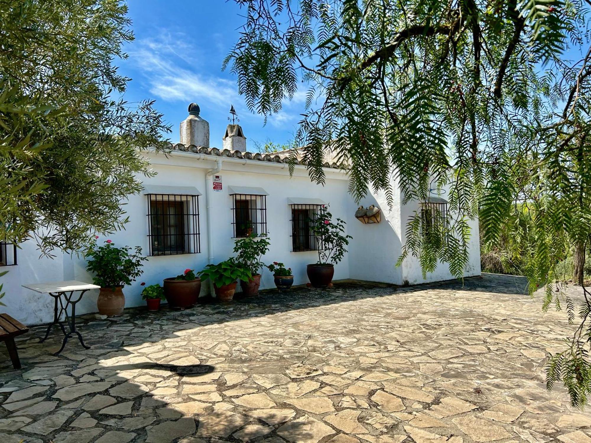 Refugio Andaluz Con Piscina Entre Olivos Villanueva de Tapia Eksteriør billede