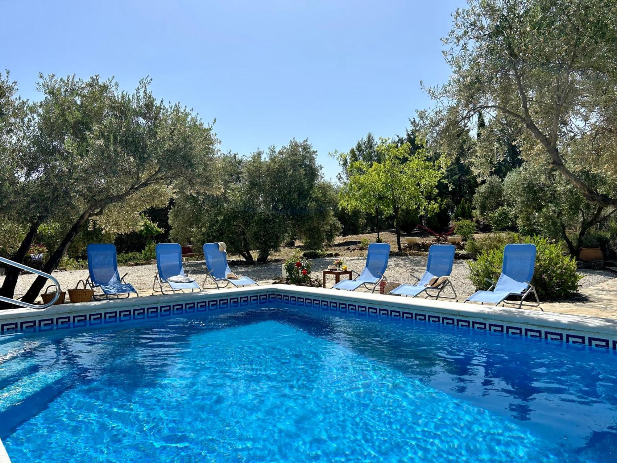 Refugio Andaluz Con Piscina Entre Olivos Villanueva de Tapia Eksteriør billede
