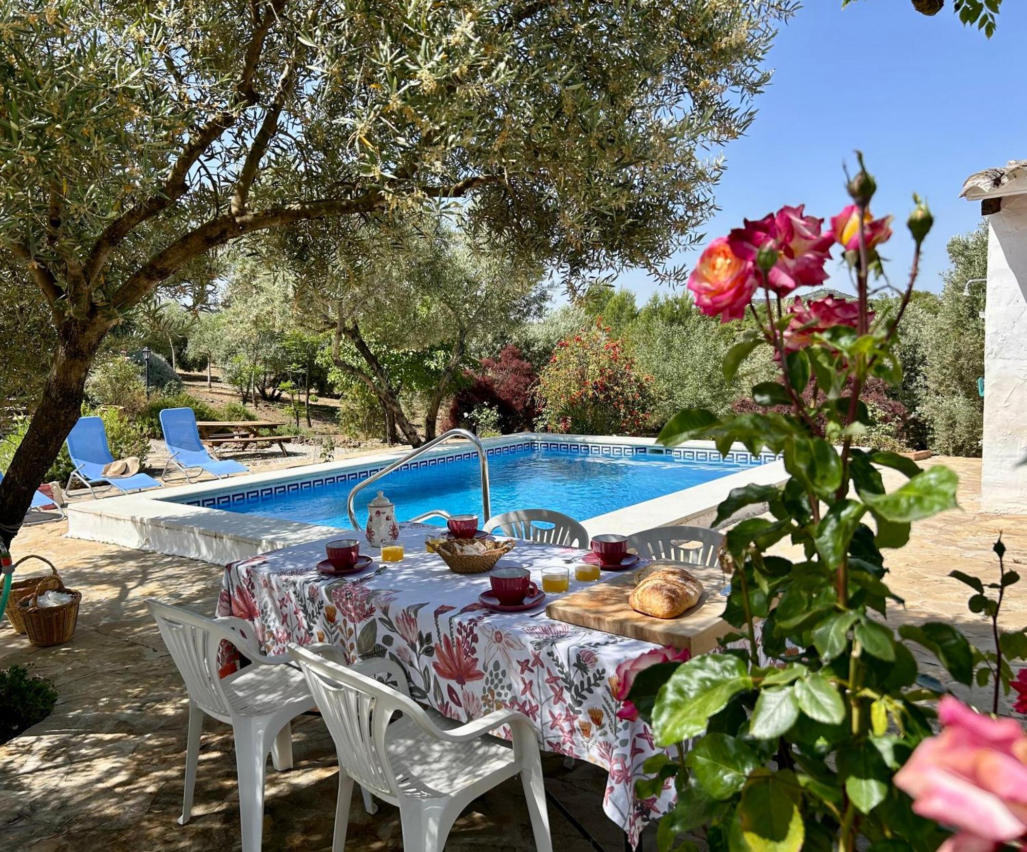 Refugio Andaluz Con Piscina Entre Olivos Villanueva de Tapia Eksteriør billede