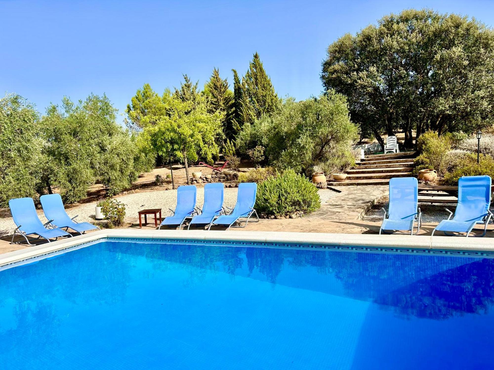 Refugio Andaluz Con Piscina Entre Olivos Villanueva de Tapia Eksteriør billede